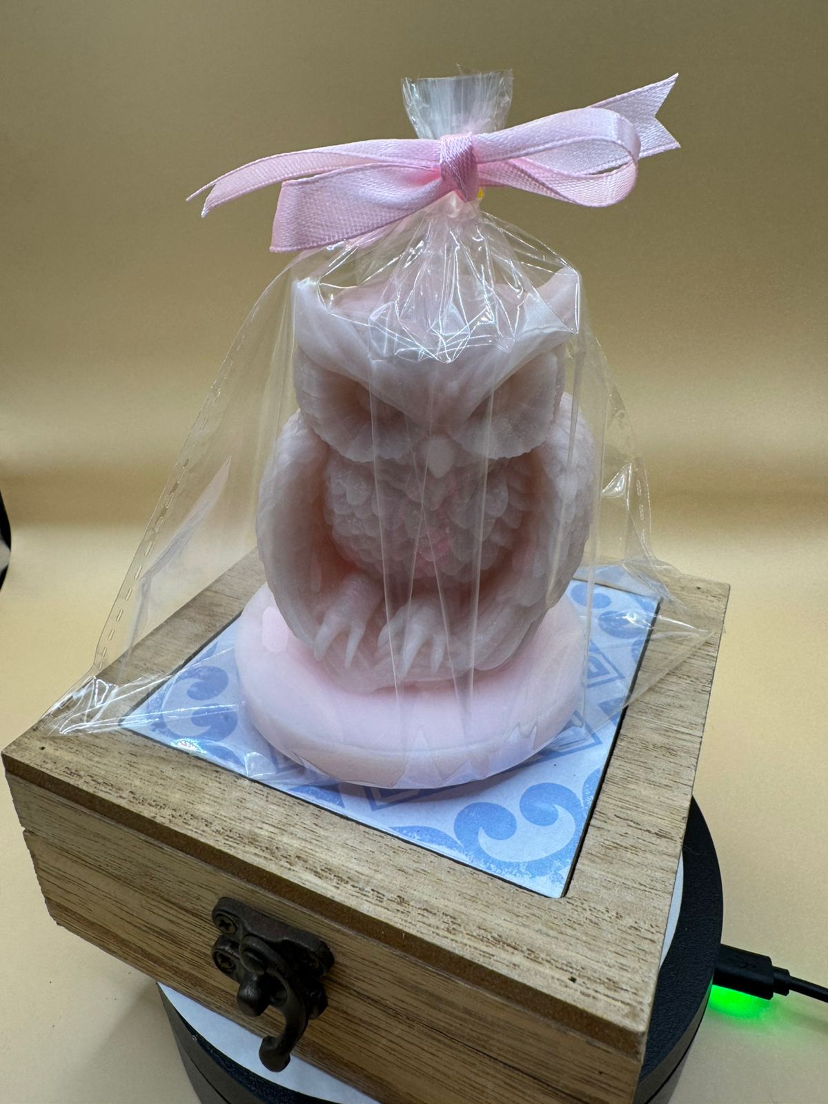 Owl Candle 1