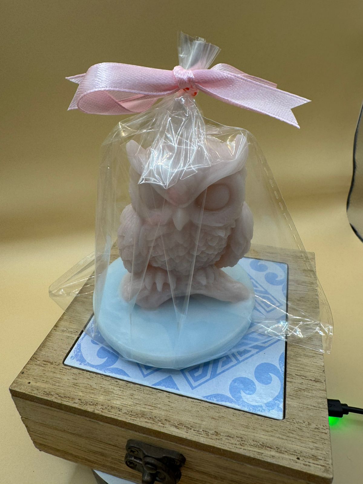 Owl Candle 1