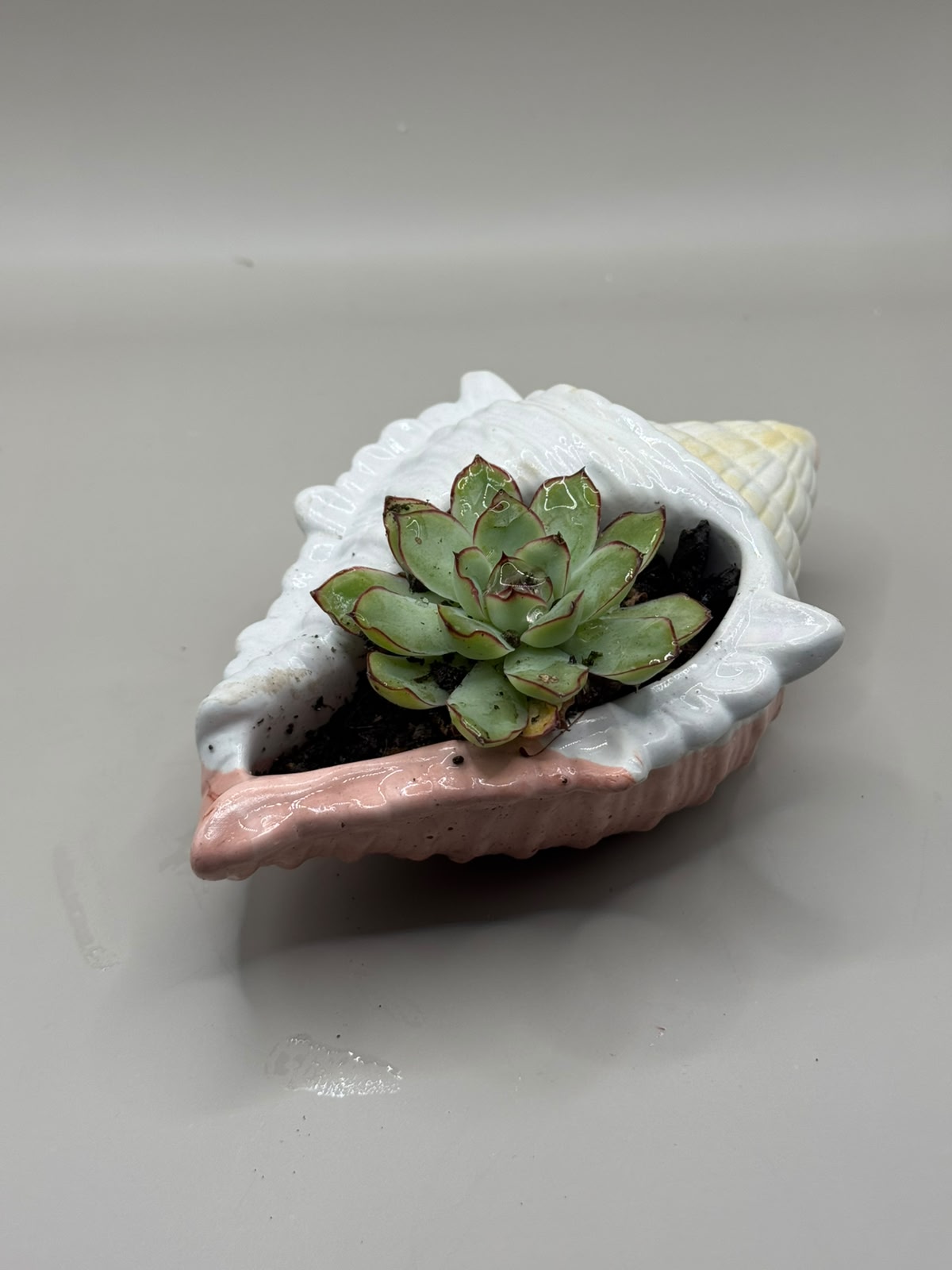Scented candles in ceramic castings