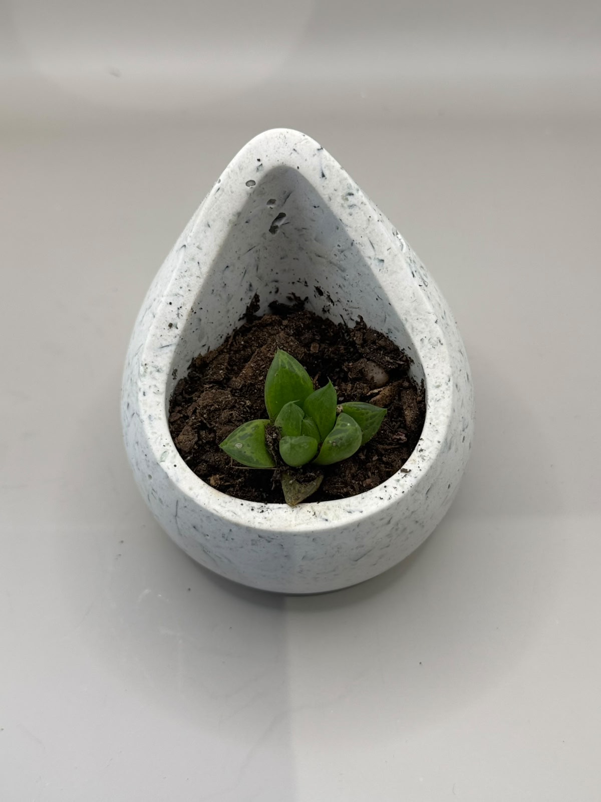 Scented candles in ceramic castings