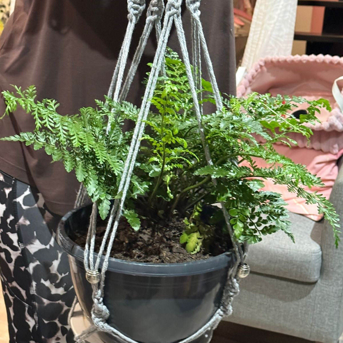 Macrame plant hanger